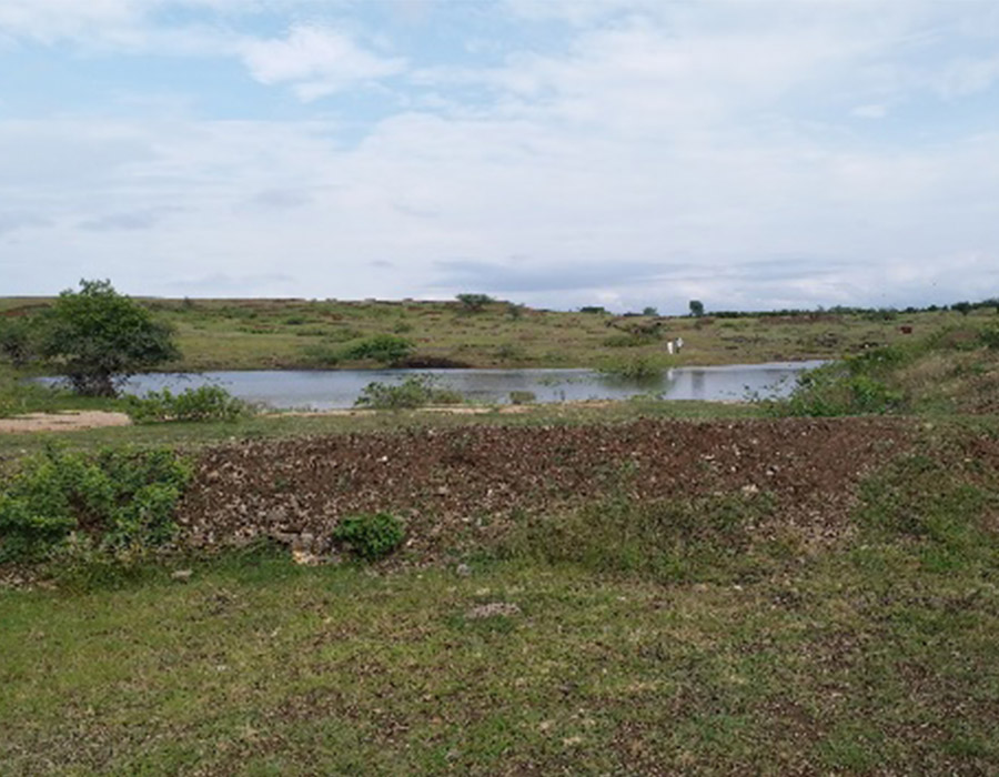 Oxygen Park 1 phase 1